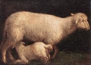 BASSANO, Jacopo Sheep and Lamb dghj oil painting